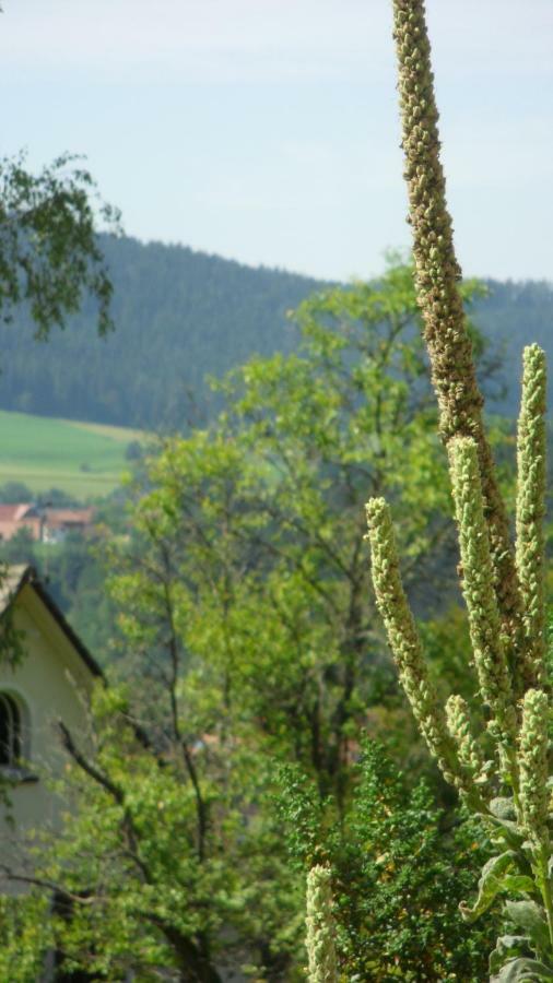 Ferienwohnung Kaufmann Baiersbronn Exterior foto