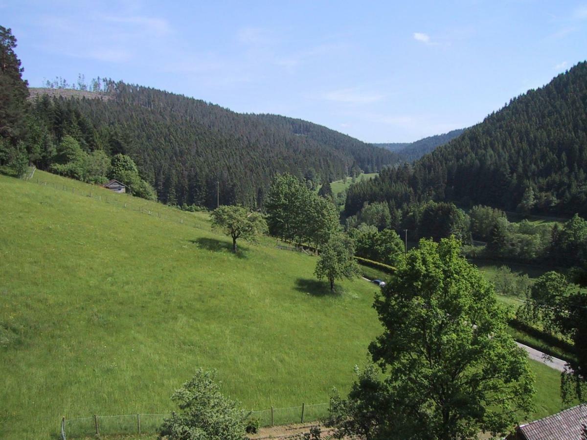 Ferienwohnung Kaufmann Baiersbronn Exterior foto